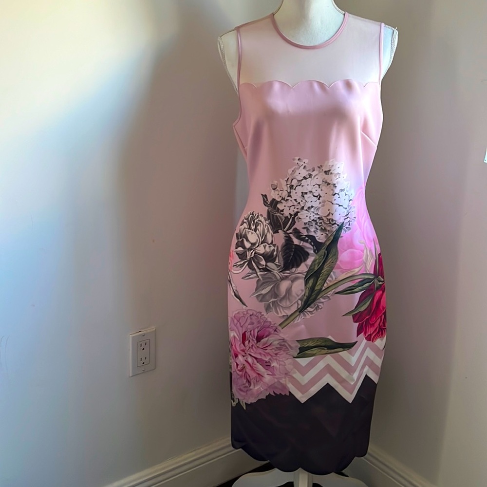 Ted Baker- Arionah Sacalloped Bodycon Dress- Size 3